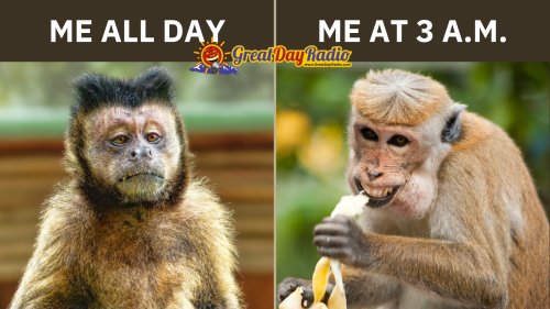 Mastering Life's Chaos: Achieving Life Balance